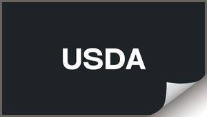 House with American flag